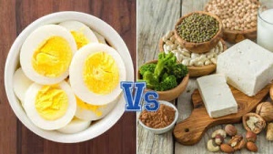 Unlock Vegetarian Protein Power: 20 Plant-Based Foods Surpassing the Protein of an Egg