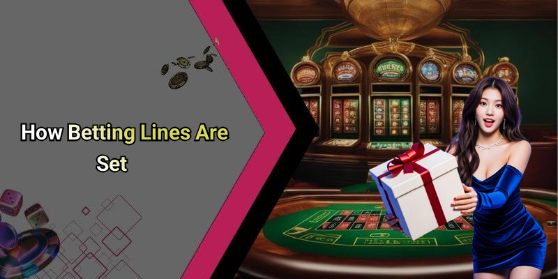 How Betting Lines Are Set