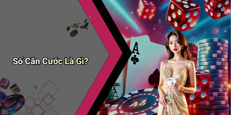 Số Căn Cước Là Gì?