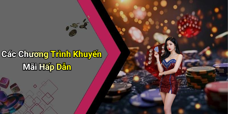 Các Chương Trình Khuyến Mãi Hấp Dẫn